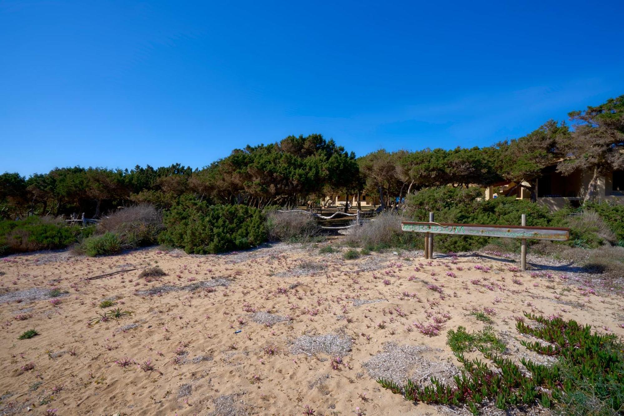 Meridium Formentera By Tentol Hotels Playa Migjorn Bagian luar foto