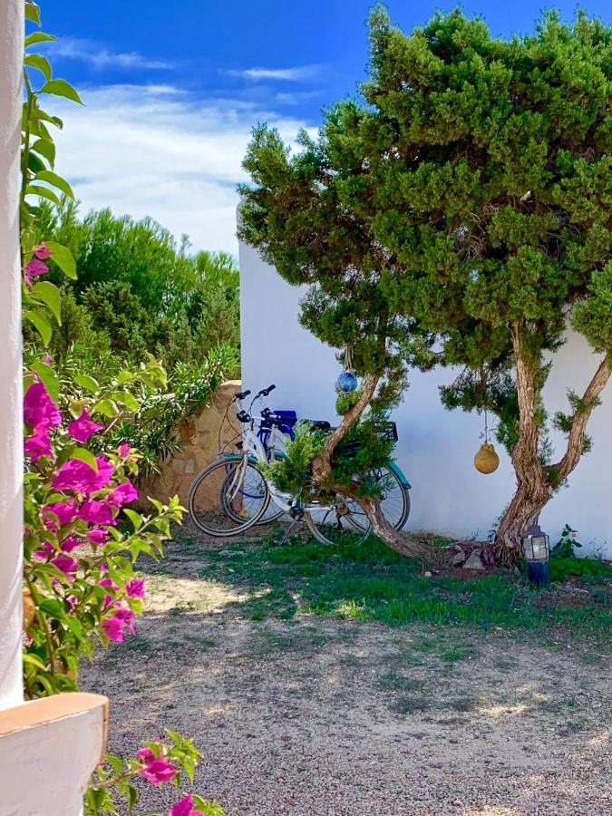 Meridium Formentera By Tentol Hotels Playa Migjorn Bagian luar foto